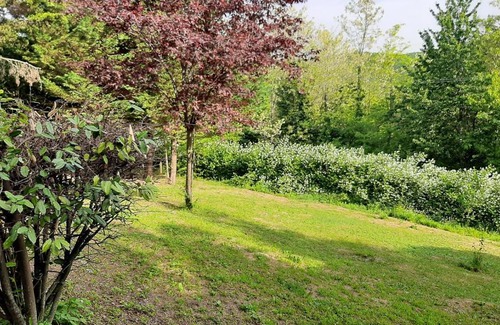 Gropparello Casa | Stanza doppia in Villa dell'800