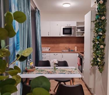 Brno-stred Apartamento | Star #5D515