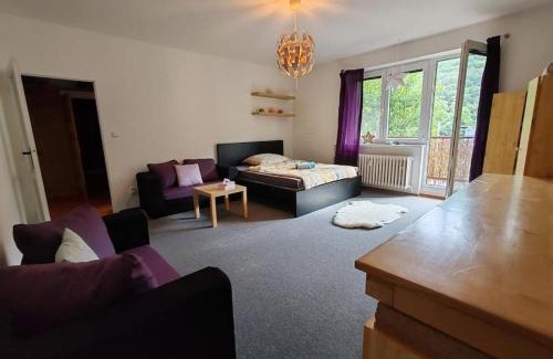 Brno-stred Apartamento | Star Apartments Brno #2B215 by Starbnb EU