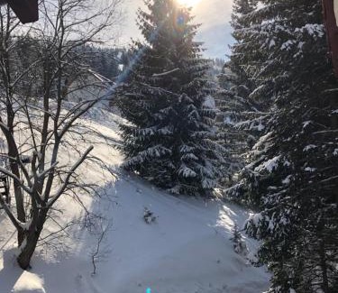 Kopaonik Apartamento | Stara Bačija
