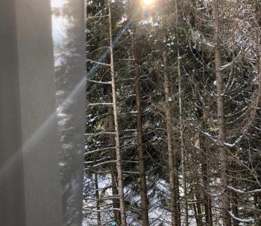 Kopaonik Apartamento | Stara Bačija