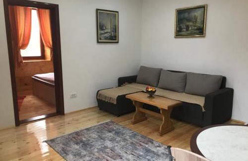 Mokra Gora Apartamento | Stara kuća