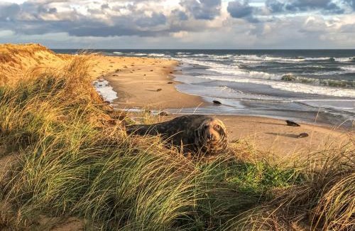 Winterton-on-Sea Casa | Starboard Cottage