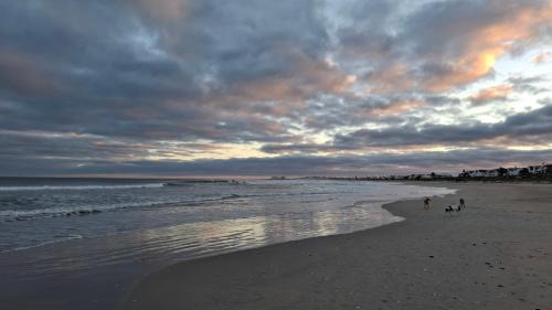St. Helena Bay Casa | Starfish Cottage On Golden Mile