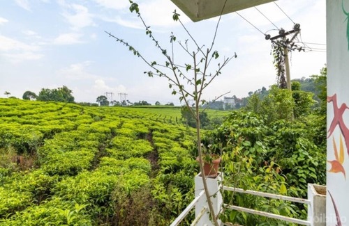Chithirapuram Cama Y Desayuno | Starlit casas de vacaciones Chithirapuram cerca de Munnar