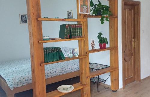 Borovany Apartamento | statek U Špuláka