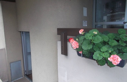 Lauterbrunnen Apartamento | Impresionante vista desde el balcón 1 Br max 4, autobús fácil, lavandería 24/7, parque subterráneo