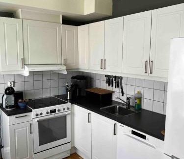 Levanger Apartamento | Staupslia Apartment