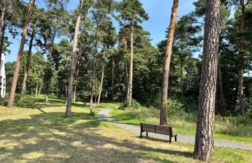 Bad Saarow Apartamento | Stay Cozy - Apartment am See mit Pool und Sauna