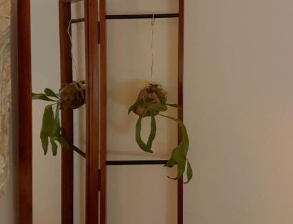 Seocho-gu Apartamento | Stay Namhyeon