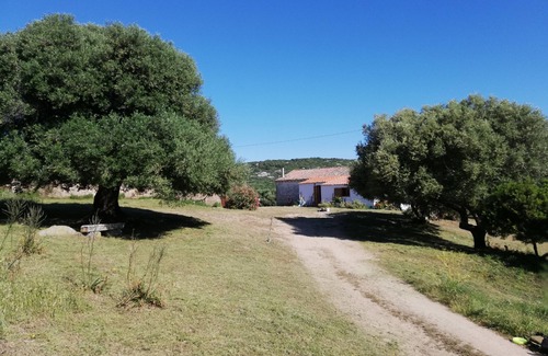 Luogosanto Casa | Stazzo Chivoni, una casa de campo del siglo XIX: ¡un paraíso lejos de todo!