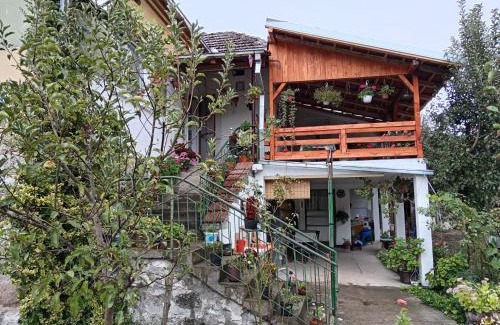 Stara Planina Casa | STD Verice Đorđević