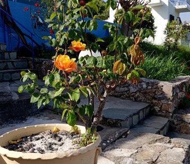 Armenoi Apartamento | Stefanos Garden