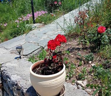 Armenoi Apartamento | Stefanos Garden