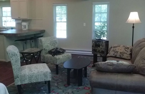 Westfield Cabaña | Steffi's Stuga (little lake cottage): Relax and Re-energize near Lake Erie!