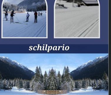 Schilpario Apartamento | Stella alpina