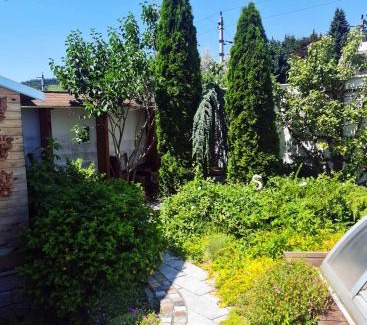 Bad Schallerbach Apartamento | Sternhaus - Appartement am Kurpark