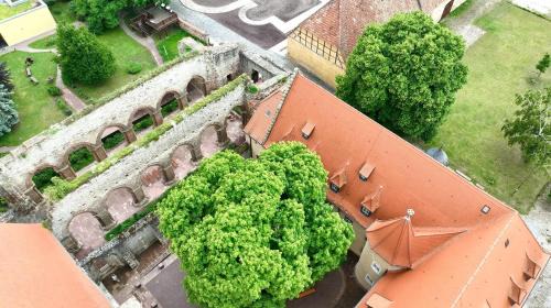 Memleben Cama Y Desayuno | Stiftung Kloster und Kaiserpfalz Memleben