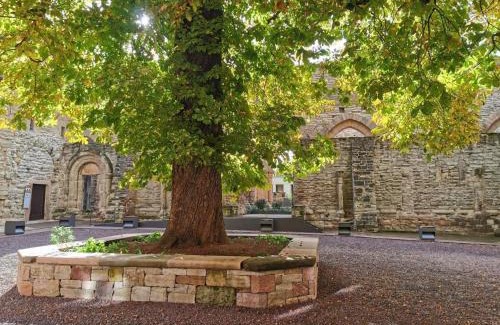 Memleben Cama Y Desayuno | Stiftung Kloster und Kaiserpfalz Memleben