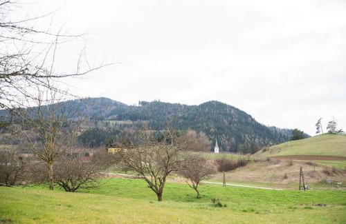Hochosterwitz Apartamento | Stiglitzer Apartment