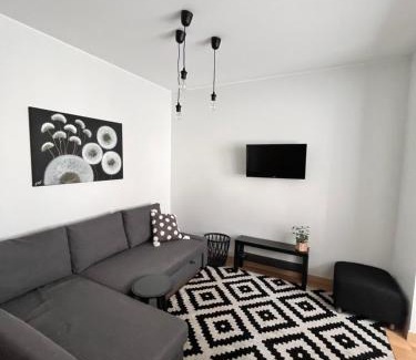 Druskininkai Apartamento | Stilingi šaulio skulptūros apartamentai