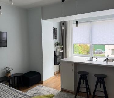 Druskininkai Apartamento | Stilingi šaulio skulptūros apartamentai