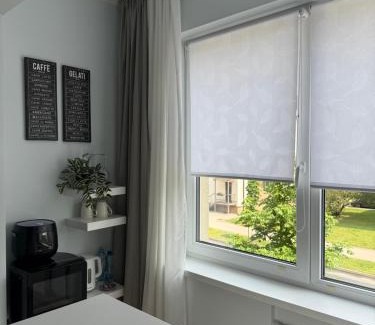Druskininkai Apartamento | Stilingi šaulio skulptūros apartamentai