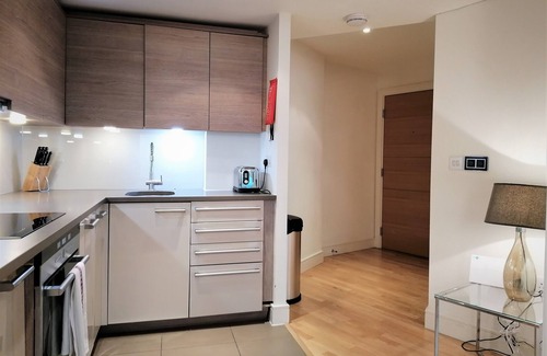 Vauxhall Apartamento | Still Life Vauxhall Manhattan Apartamento de un Dormitorio