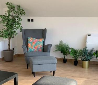 Gdow Apartamento | Stodoła Chillout Apartments