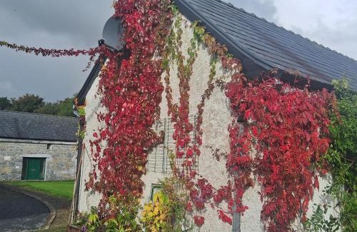 Athenry Apartamento | Stone Barn Cottage In Galway Countryside