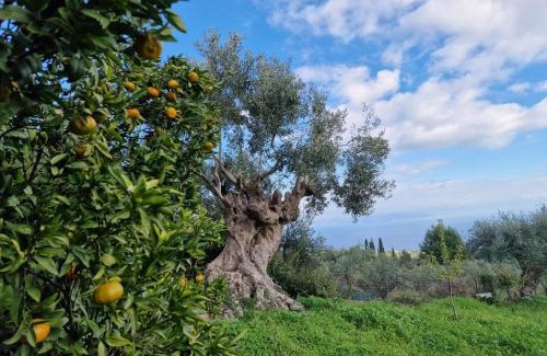 Messini Casa | Stone Farmhouse in Groves - Sea & Mountain Views
