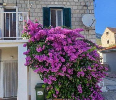 Solin Apartamento | Stone Guest House
