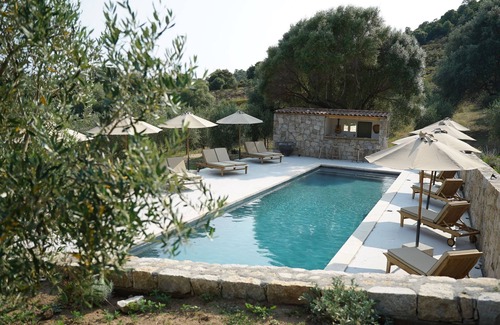 Cognocoli-Monticchi Casa | Stone house in an olive grove 15 minutes from the beach