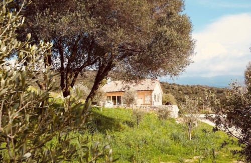 Cognocoli-Monticchi Casa | Stone house in an olive grove 15 minutes from the beach