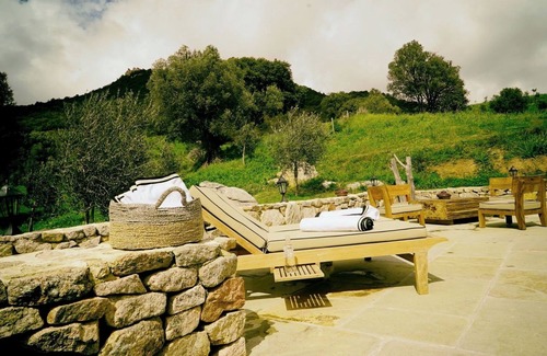Cognocoli-Monticchi Casa | Stone house in an olive grove 15 minutes from the beach