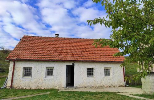 Pluzine Casa | Stone house