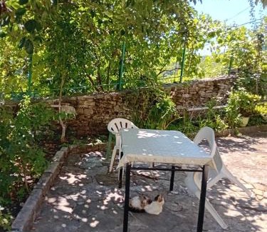 Gjirokaster Apartamento | Stone Pazar Guest House
