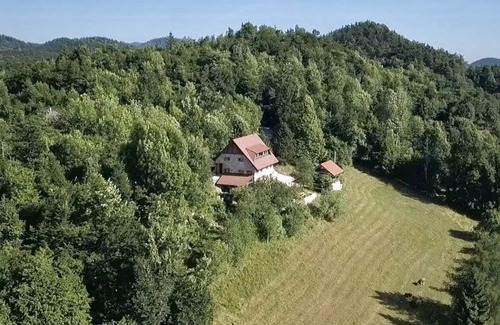 Kambresko Casa | Villa robusta en una gran parcela en las montañas de Eslovenia