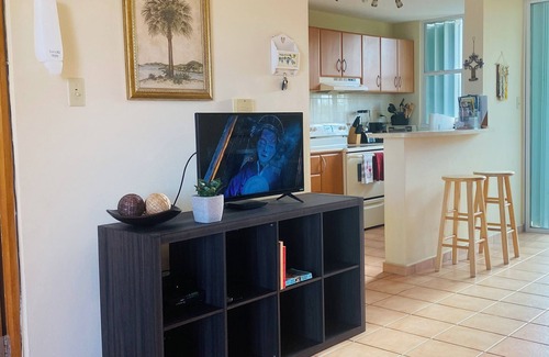 Loiza Apartamento | DETENGASE A ESTO ES EL ÚNICO Asequible vacaciones en el Caribe en un hermoso Beach Resort