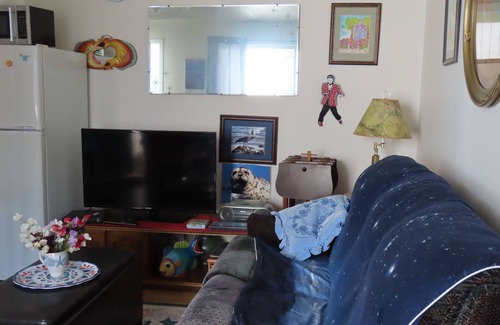 Campbell River Cabaña | Stories Beach Cottage , a cozy stay by the sea