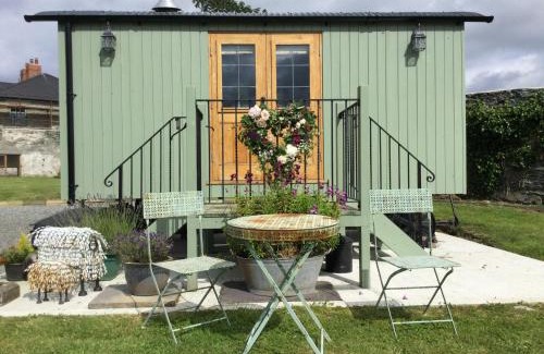 Llanfachraeth Cama Y Desayuno | Storws Y Gorlan Shepherd's Hut