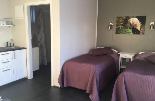 Sveitarfelagid Olfus Apartamento | Strýta Apartment 3