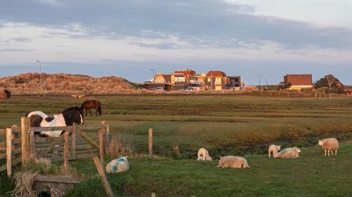 Camperduin Hotel | Strandhotel Camperduin