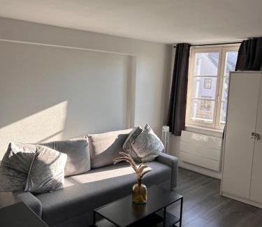 City-Centre - Petite France Apartamento | STRASBOURG : STUDIO HYPER CENTRE