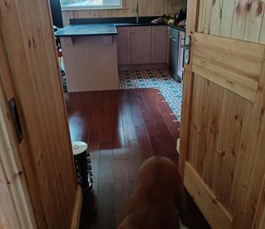 Glen of Aherlow Chalet De Esquí | Stream-side cabin and sauna