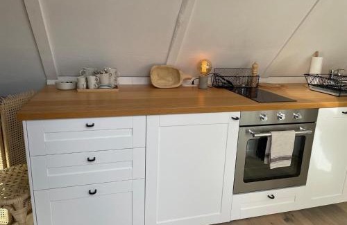 Purbach am Neusiedlersee Apartamento | Streckhof Stiefelgasse 3