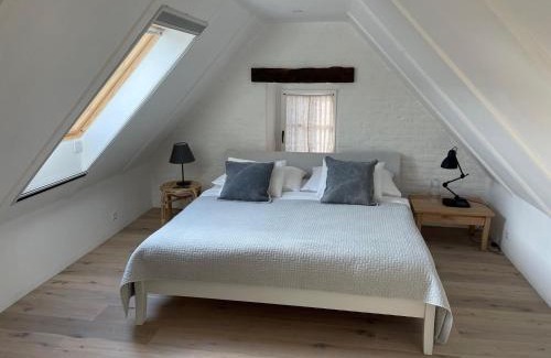 Purbach am Neusiedlersee Apartamento | Streckhof Stiefelgasse 3