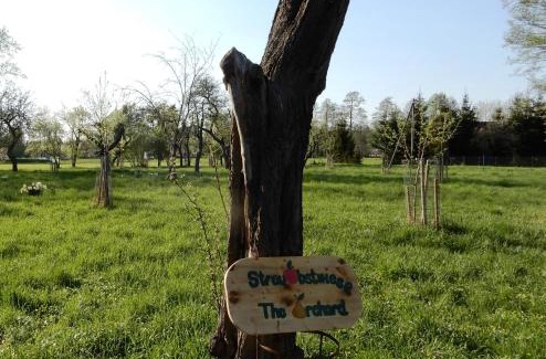 Burg-Dorf Apartamento | Streuobstwiese