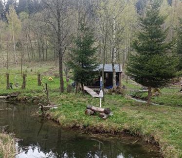 Lubawka Apartamento | Strumyk