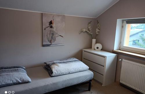 Lubawka Apartamento | Strumyk